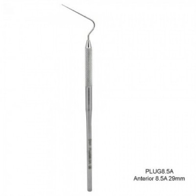 Anterior 8.5 (29mm)